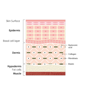 72k-ultra-deep-delivery-illustration-new-00A